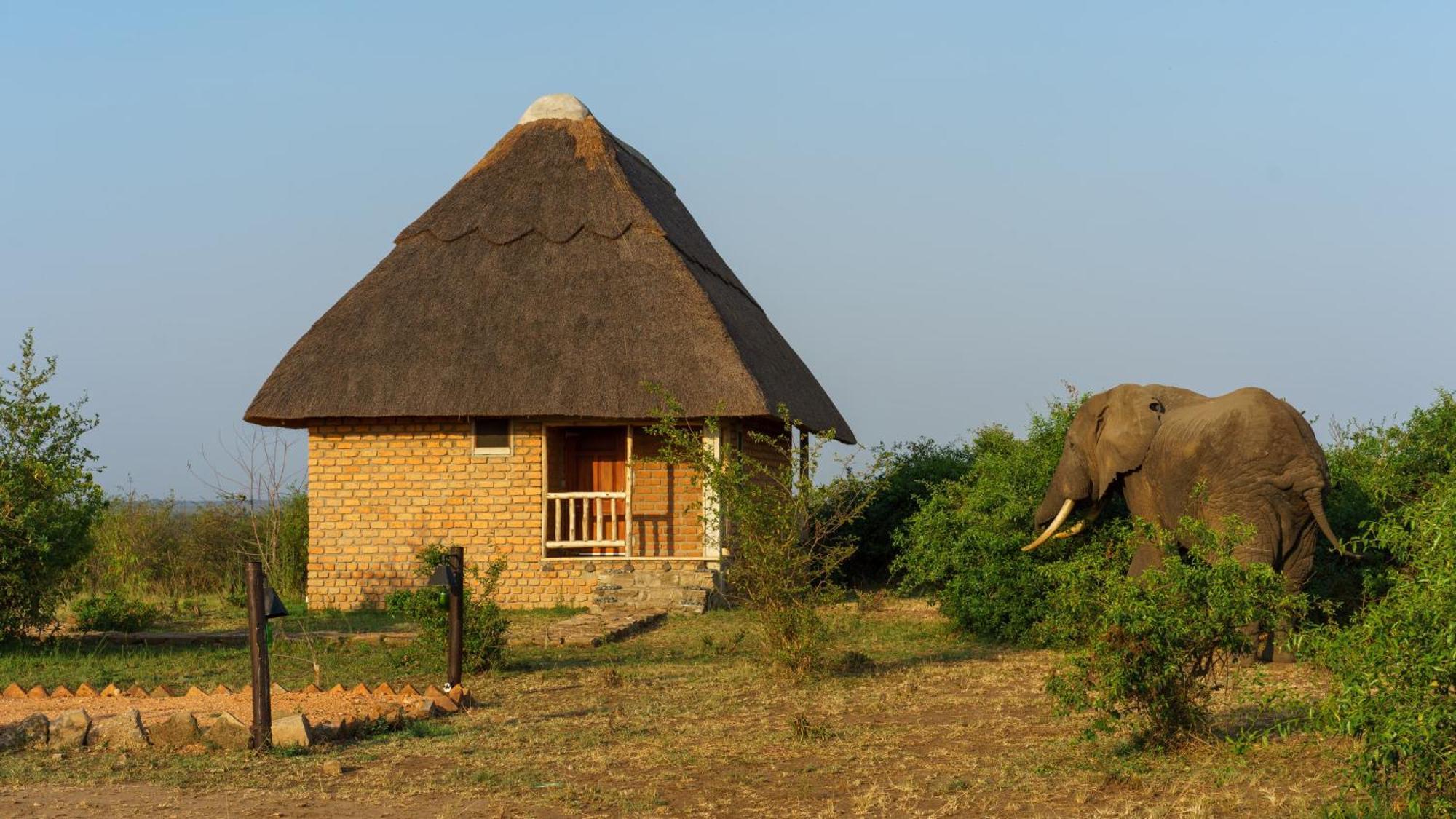 Tabingi Safari Cottages Katunguru 외부 사진