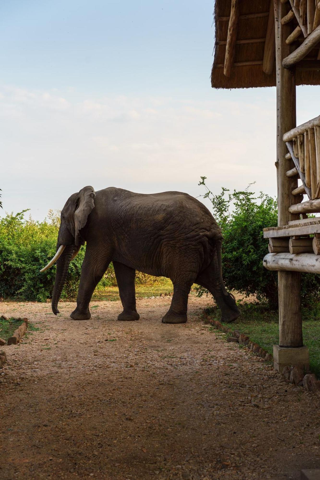 Tabingi Safari Cottages Katunguru 외부 사진