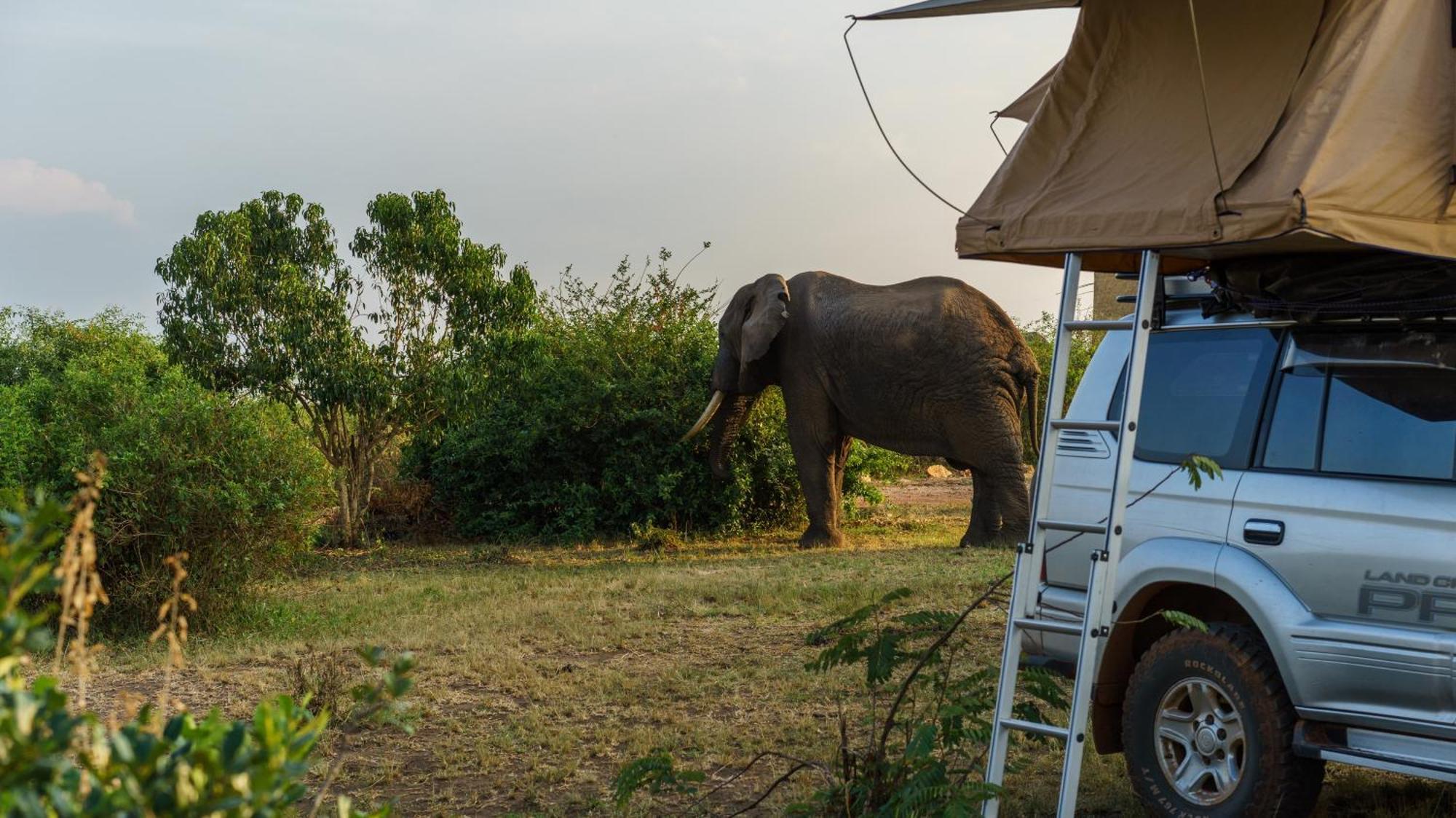 Tabingi Safari Cottages Katunguru 외부 사진