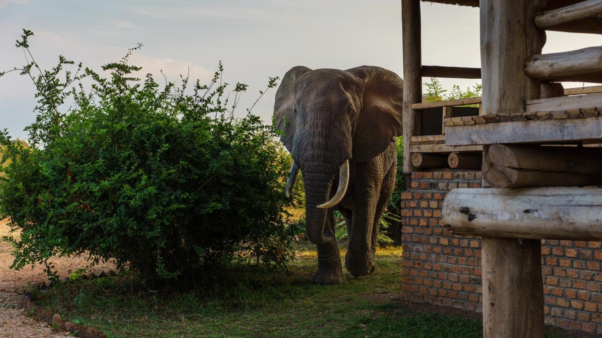 Tabingi Safari Cottages Katunguru 외부 사진